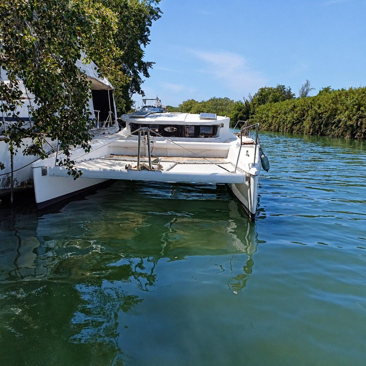 Catamarano ormeggiato nel verde